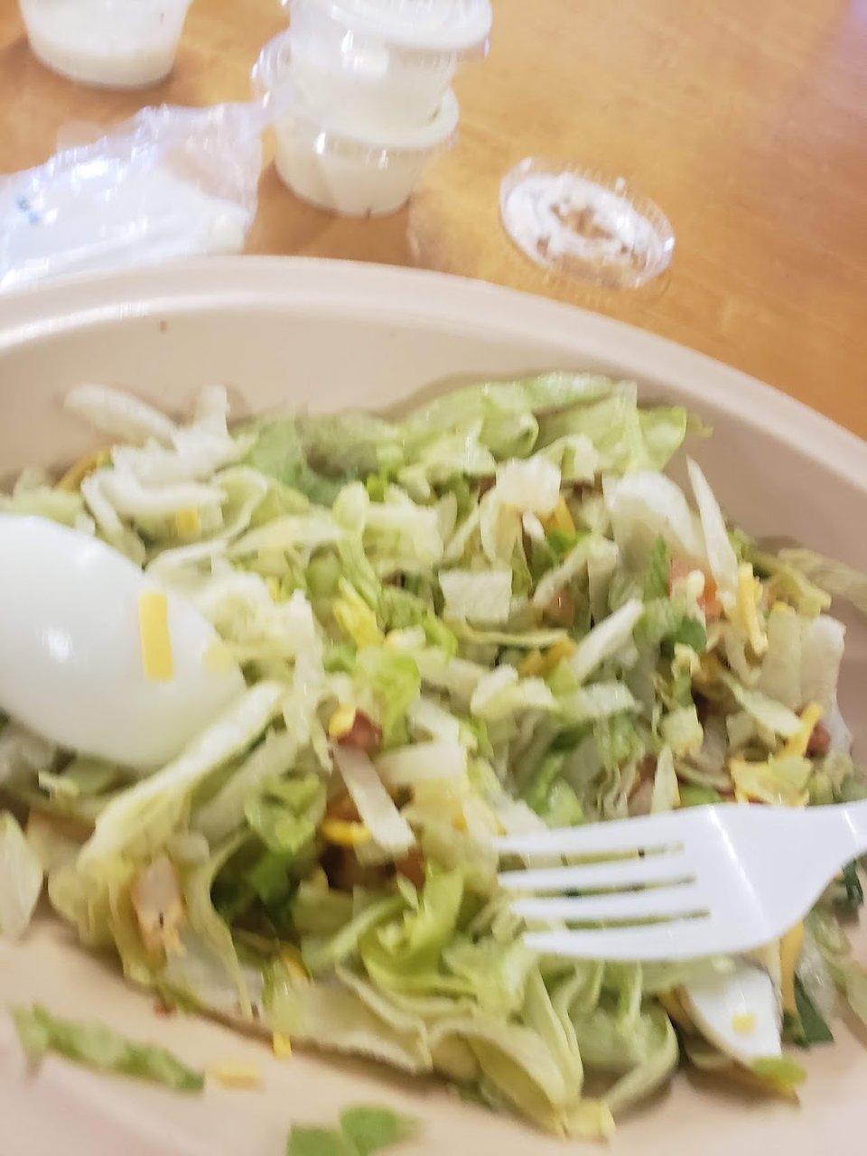 Grilled Chicken Salad